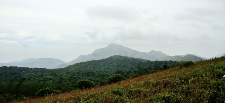 The first view of Tadiyandamol during the trek; far away and beyond !
